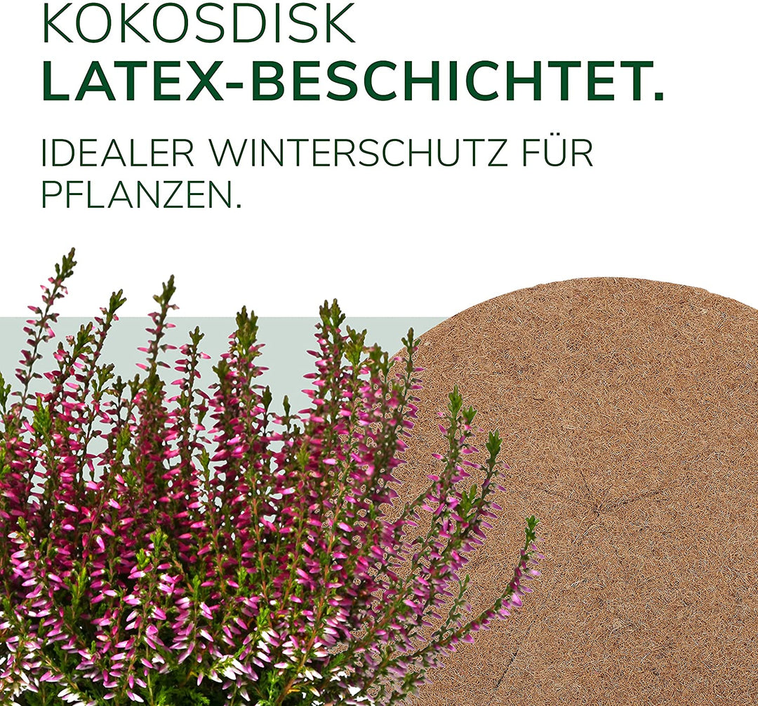 5 x Kokosdisk verschiedene Größen