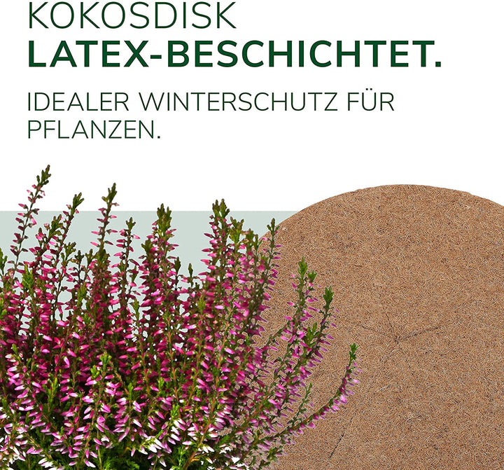 5 x Kokosdisk verschiedene Größen