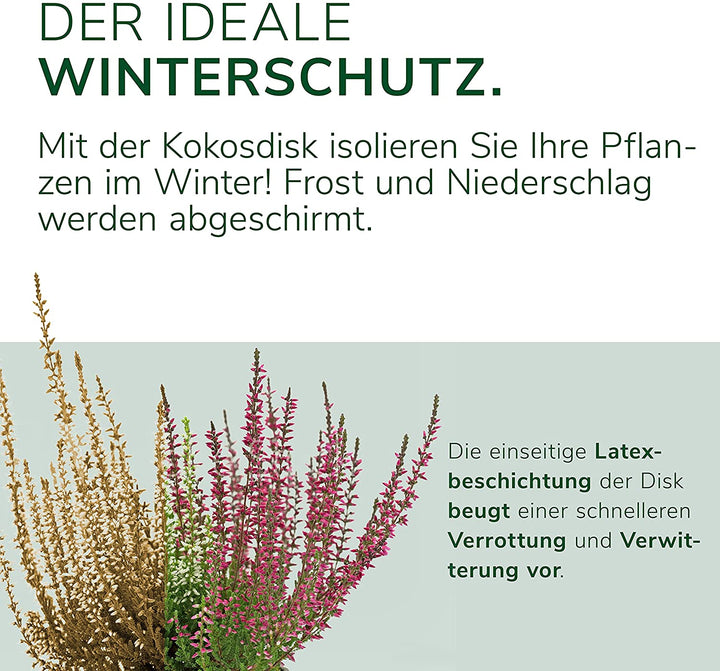 5 x Kokosdisk verschiedene Größen