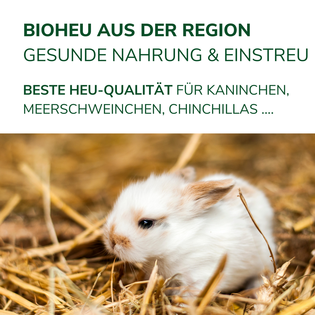 Heu aus Bioanbau 8-10 kg