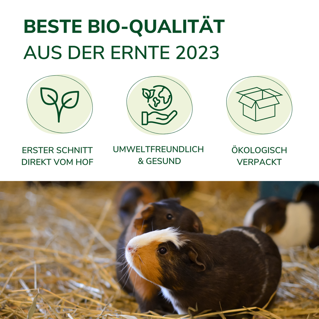 Heu aus Bioanbau 8-10 kg