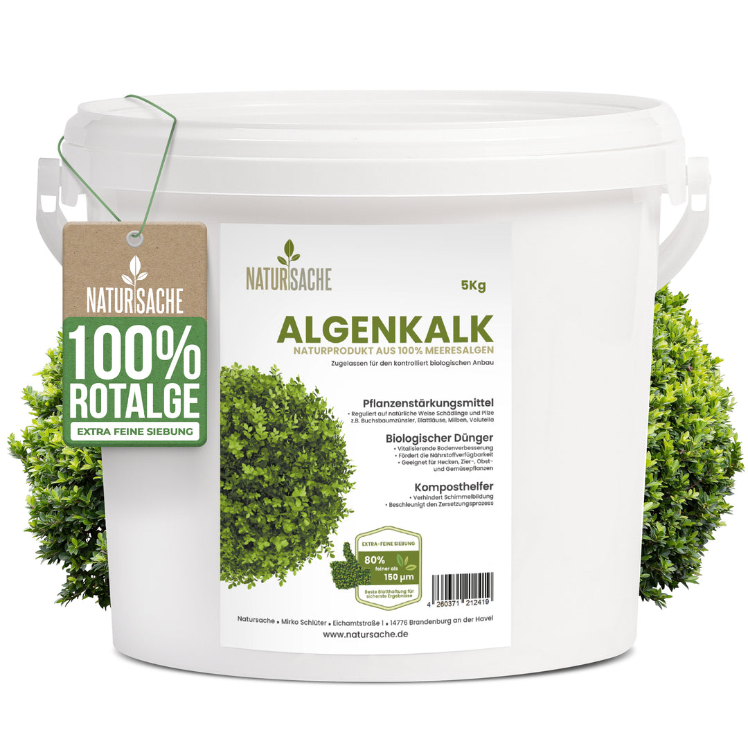 Algenkalk -Bekämpfung gegen Buchsbaumzünsler + Dünger