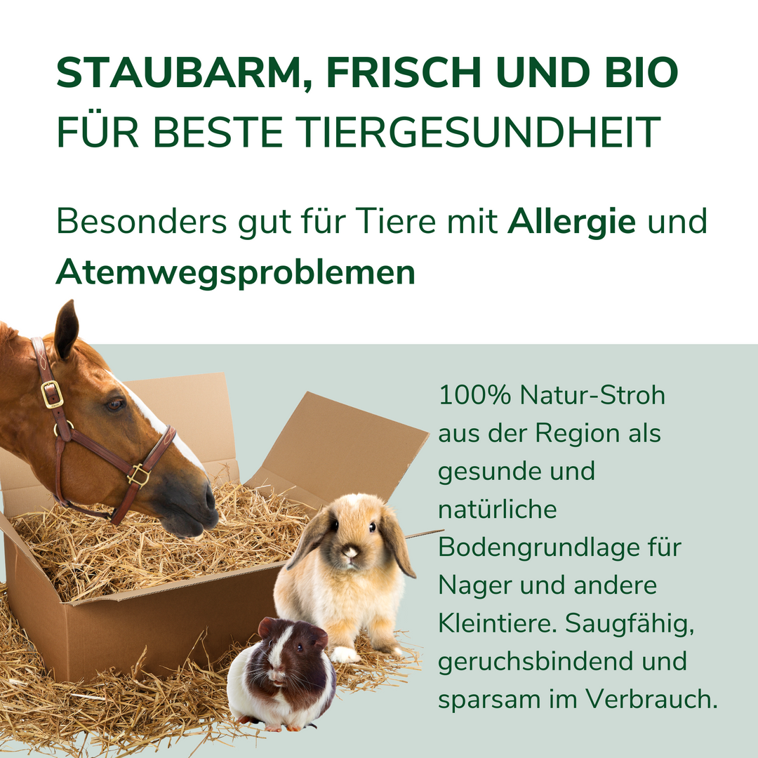 Stroh aus gehäckseltem Bio-Weizen 7-8 kg/Ballen