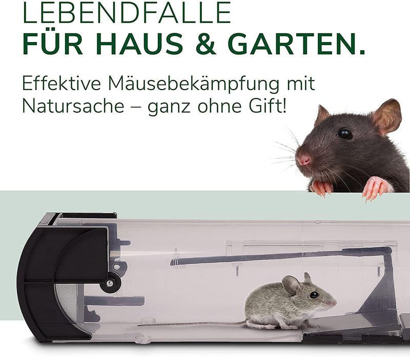 Lebendfalle für Mäuse im Einzel- oder Dopplepack