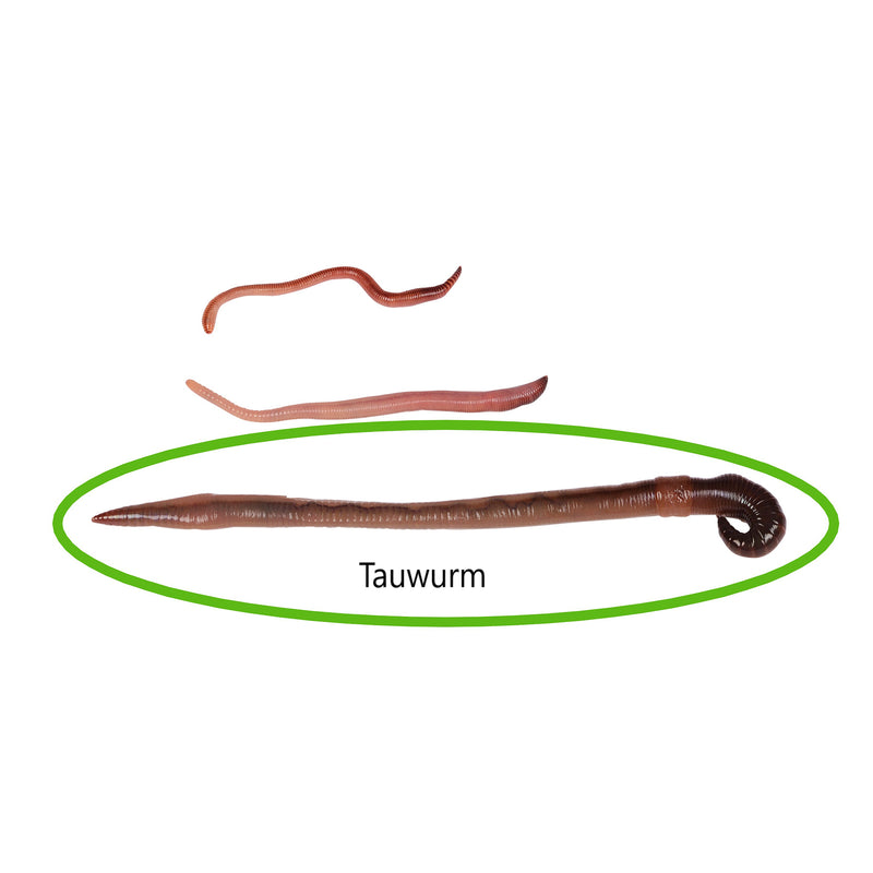 Angelwürmer Tawürmer Set Natursache