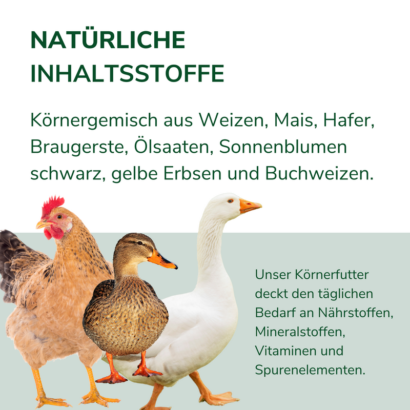 Hühnerfutter - Alleinfutter für Hühner, Legehennen, Enten, Gänse, Fasanen