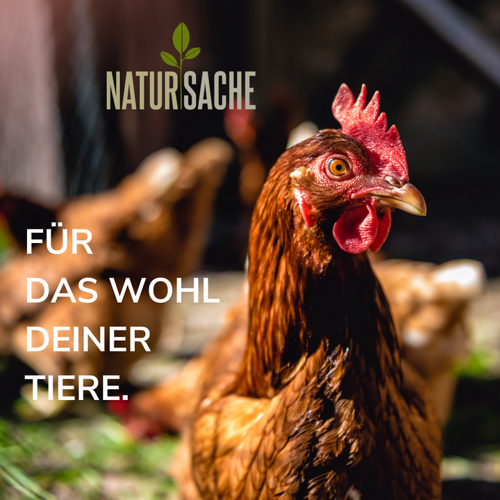 Hühnerfutter - Alleinfutter für Hühner, Legehennen, Enten, Gänse, Fasanen
