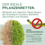 Algenkalk -Bekämpfung gegen Buchsbaumzünsler + Dünger