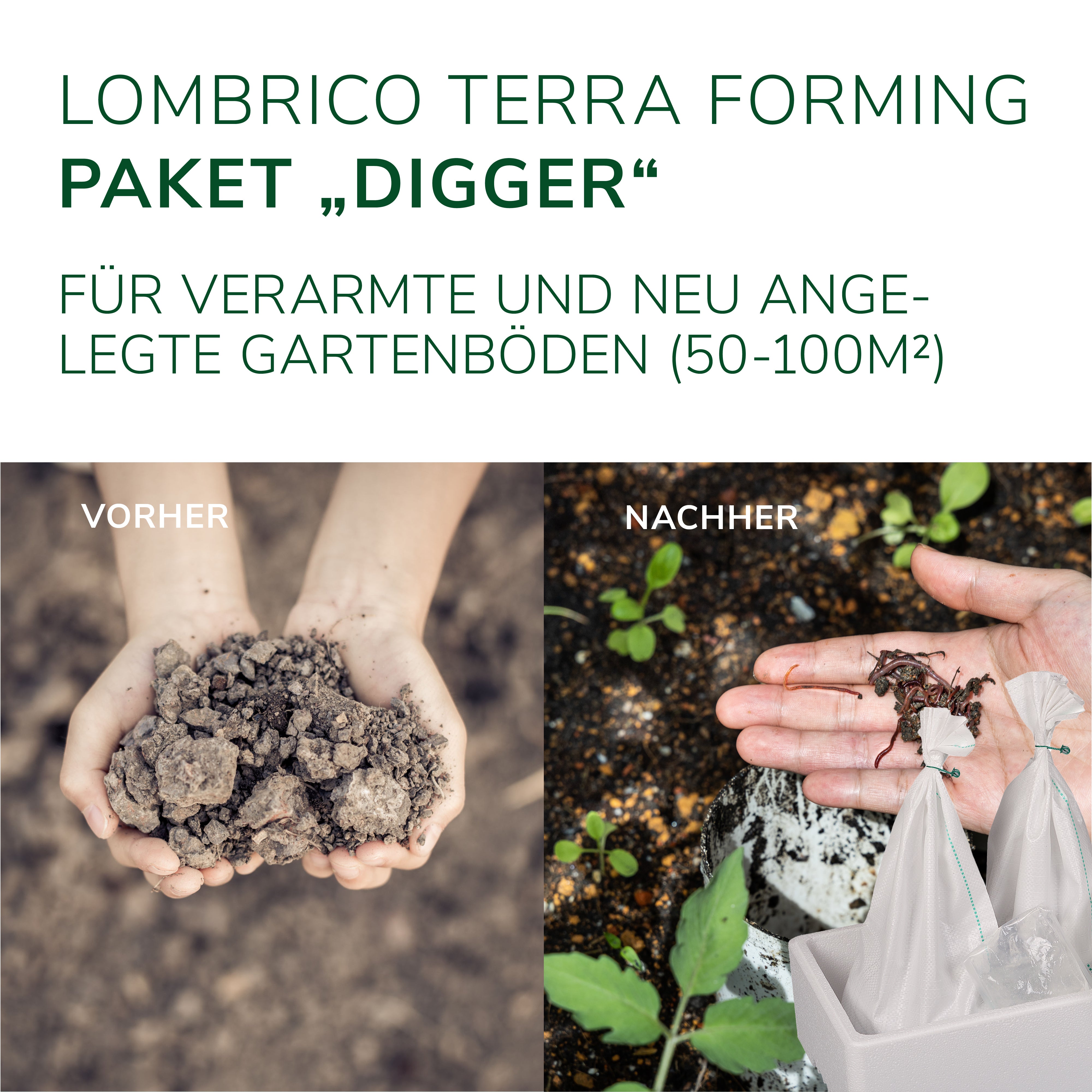 SUPERWURM Gartenwürmer – 2 Kg (ca. 1600 Stück) Für 200 M², Natürlicher Bodenverbesserer & Auflockerer