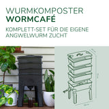 Wurmkomposter - "Wurmcafé Angelwürmer"