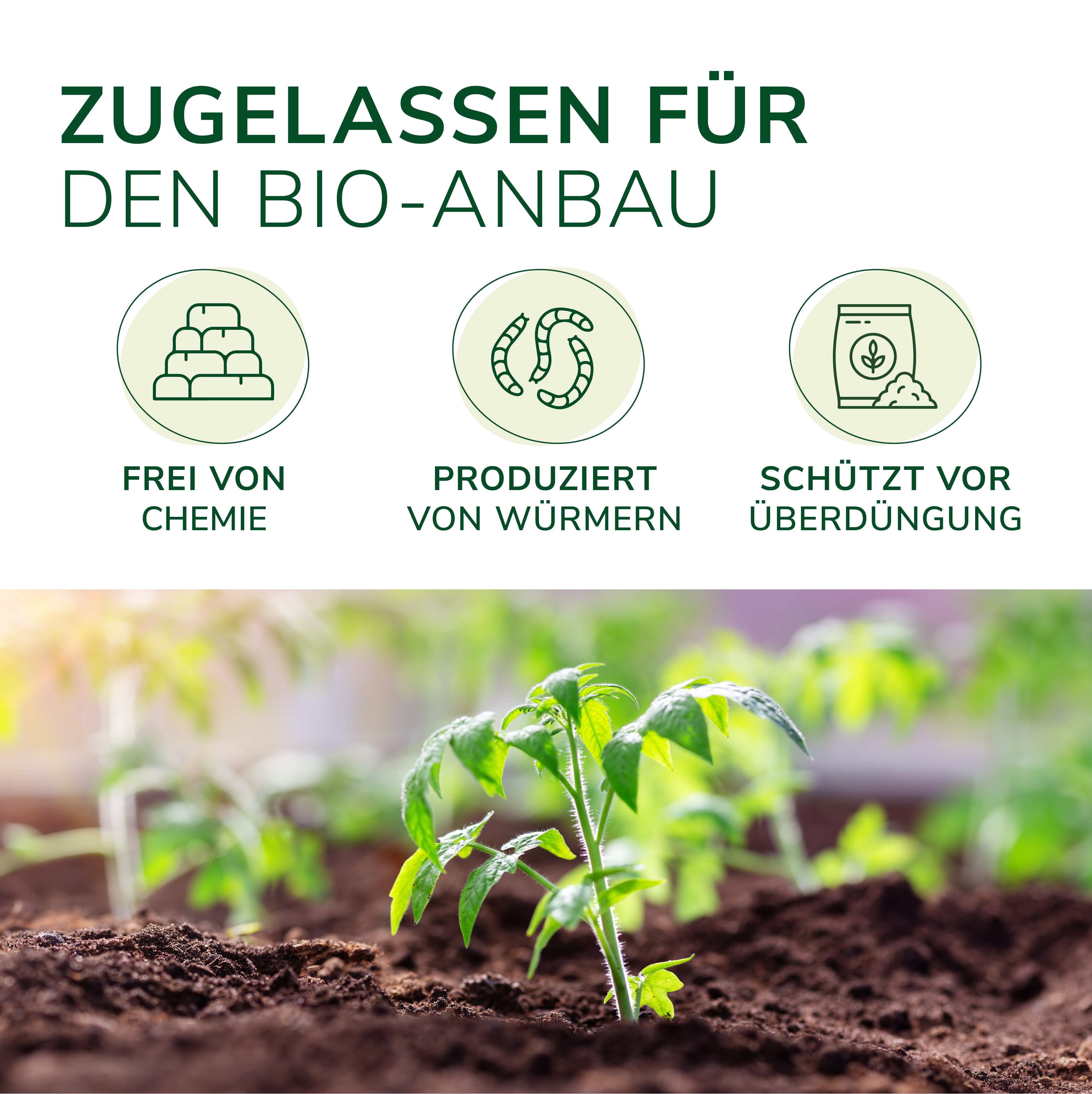37,5 L Wurmhumus – Natürlicher Dünger Für Hochbeet, Gemüse, Kräuter & Blumen, Torf- Und Chemiefrei