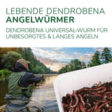 Angelwürmer - Dendrobena